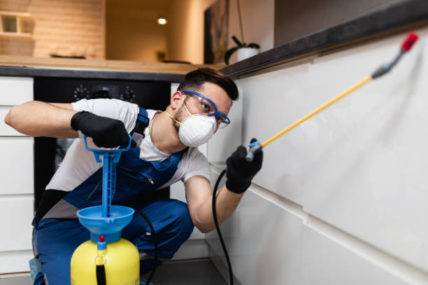 Best Bed Bug Extermination  in Allen, TX