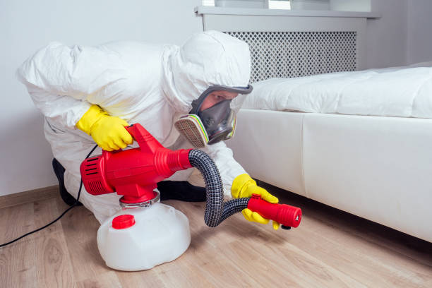 Best Pest Control Treatment  in Allen, TX
