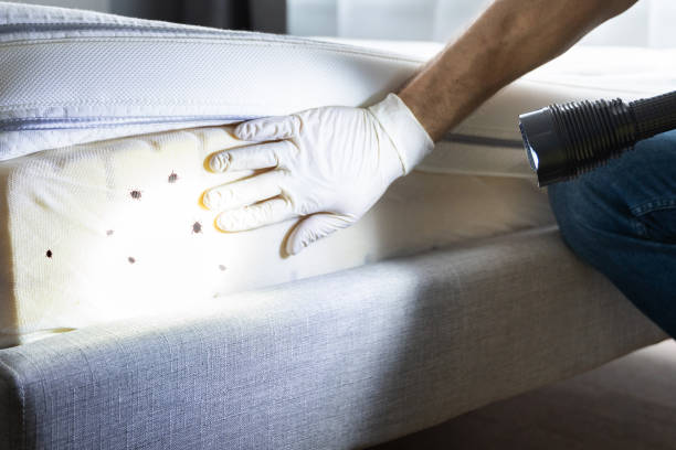 Allen, TX Pest Control Company