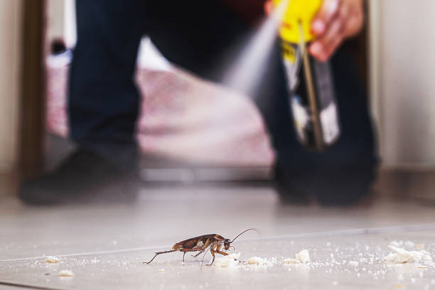 Best Cockroach Control Services  in Allen, TX