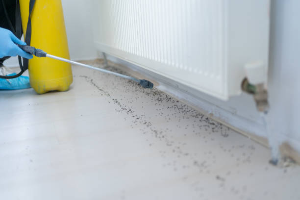 Best Wildlife Control Services  in Allen, TX