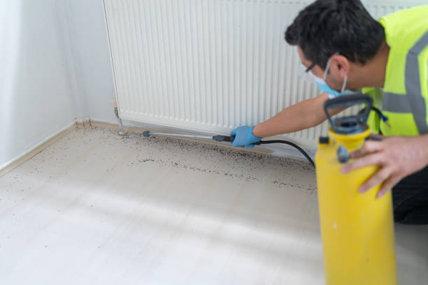Best Affordable Pest Control Services  in Allen, TX